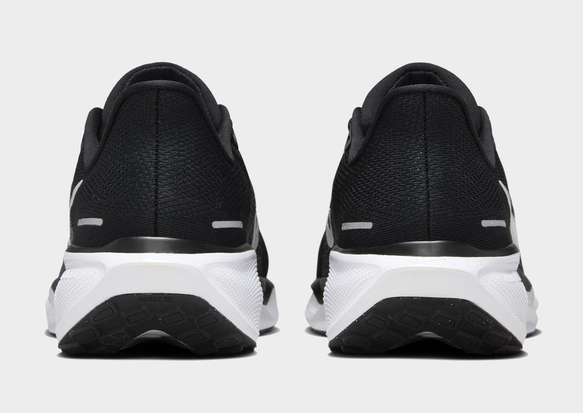 Pegasus 41