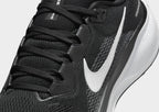 Pegasus 41
