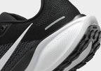 Pegasus 41