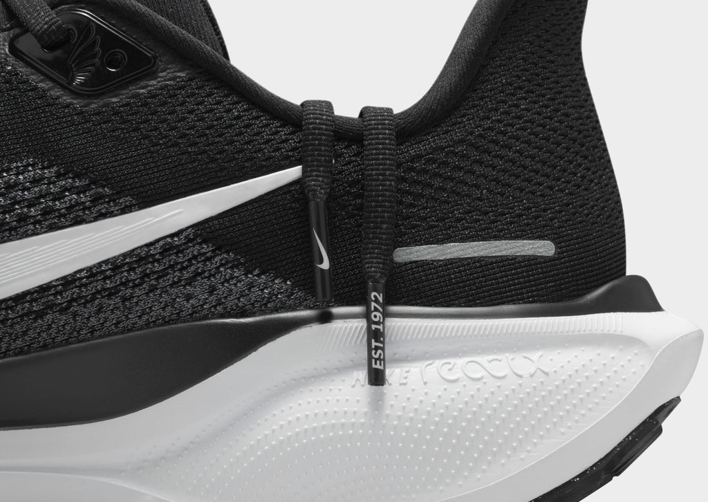 Pegasus 41