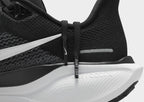 Pegasus 41