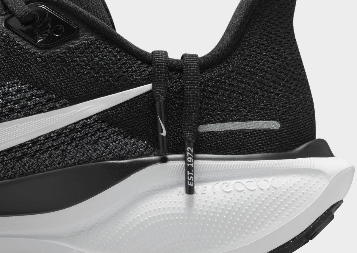 Pegasus 41