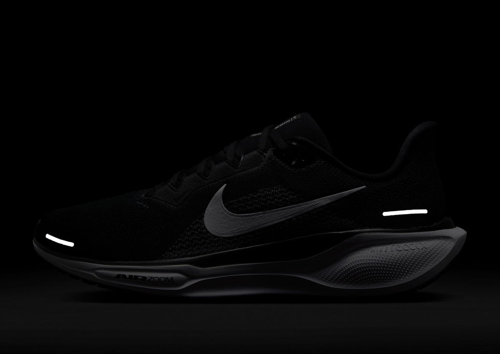 Pegasus 41