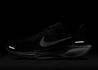 Pegasus 41