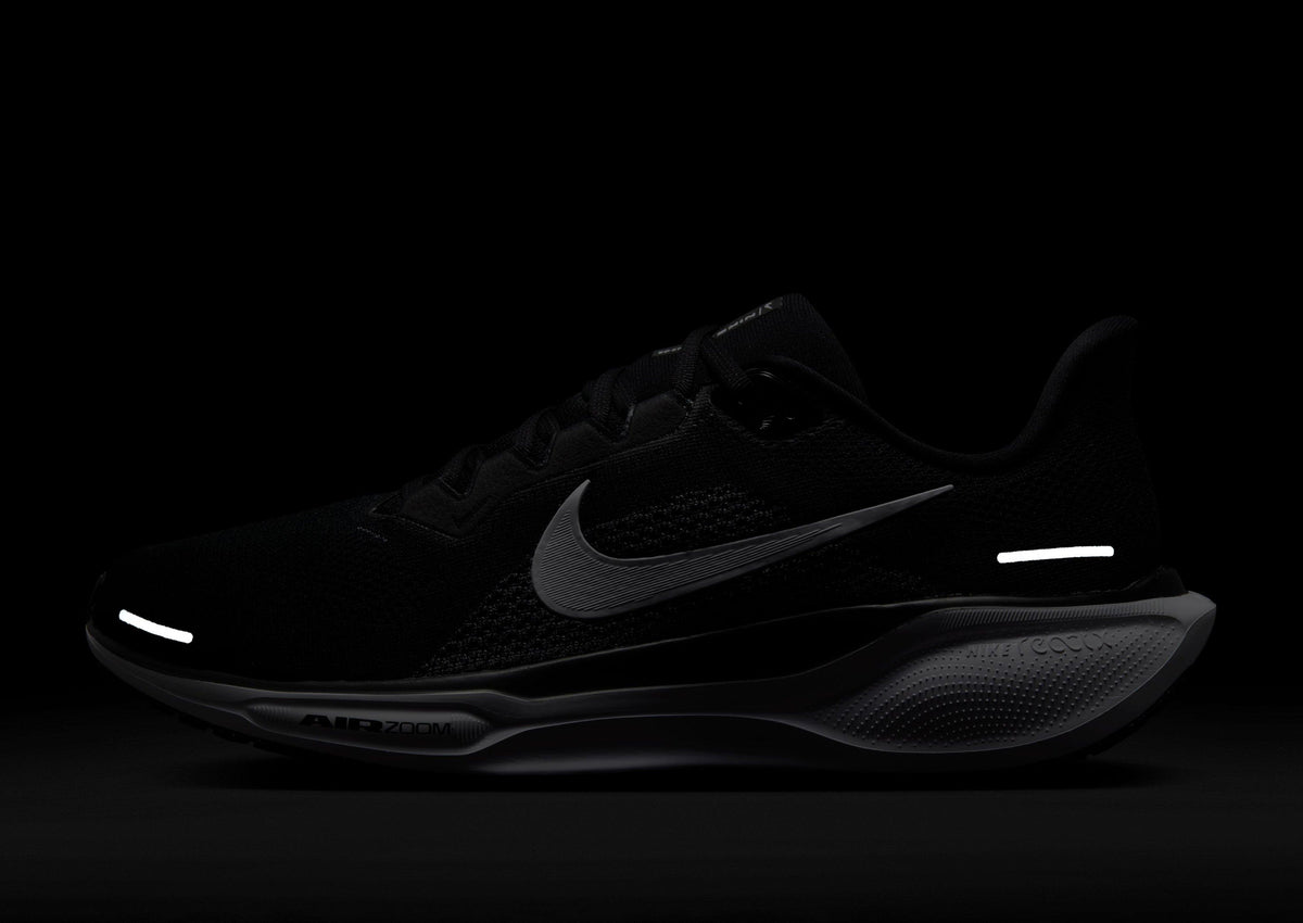 Pegasus 41