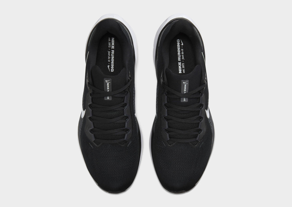 Pegasus 41