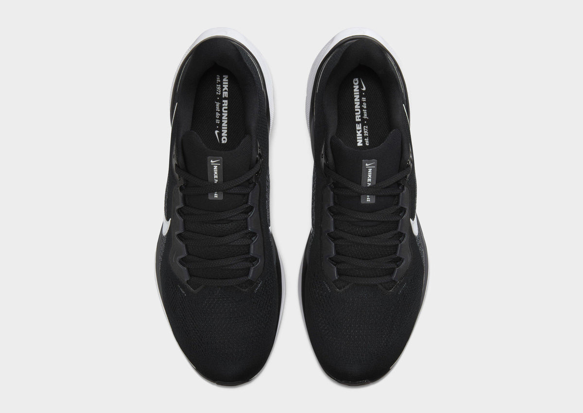 Pegasus 41