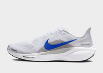 Pegasus 41