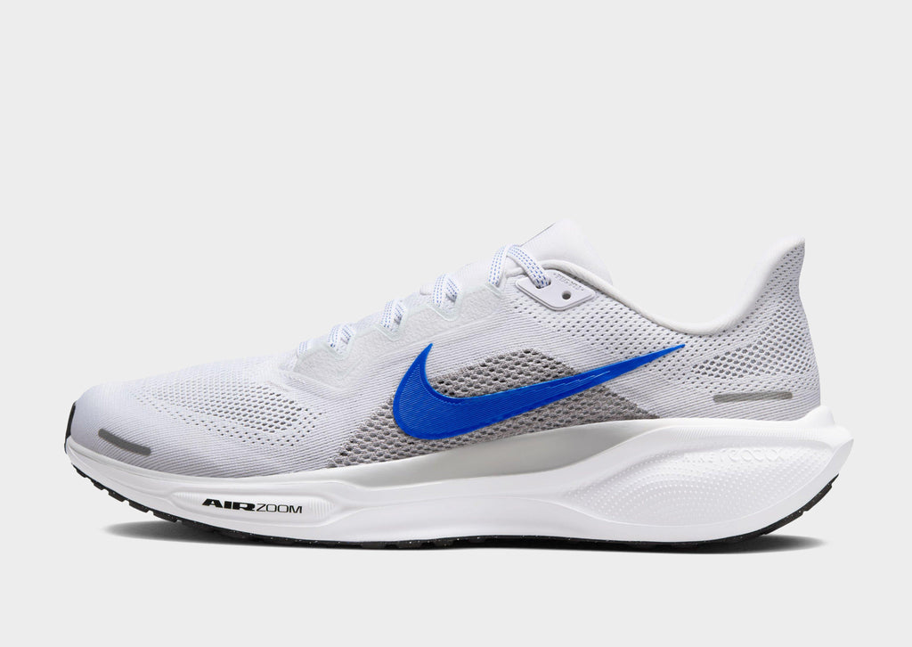 Pegasus 41