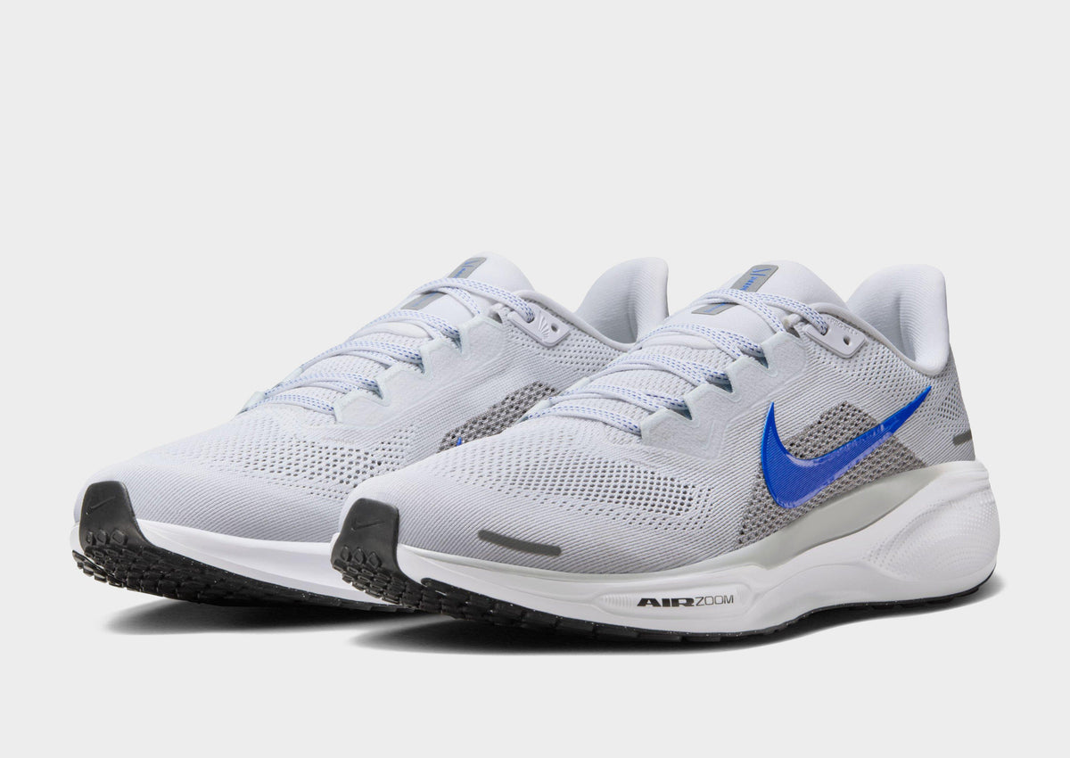 Pegasus 41