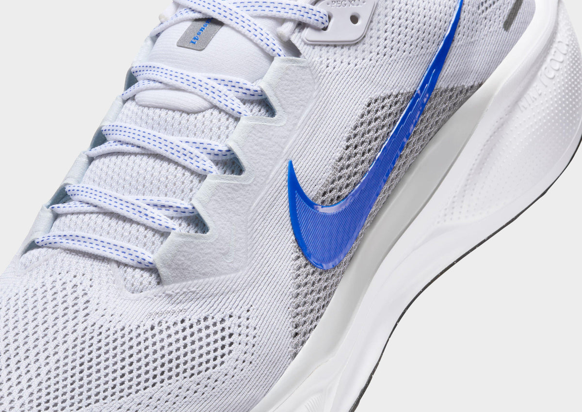 Pegasus 41