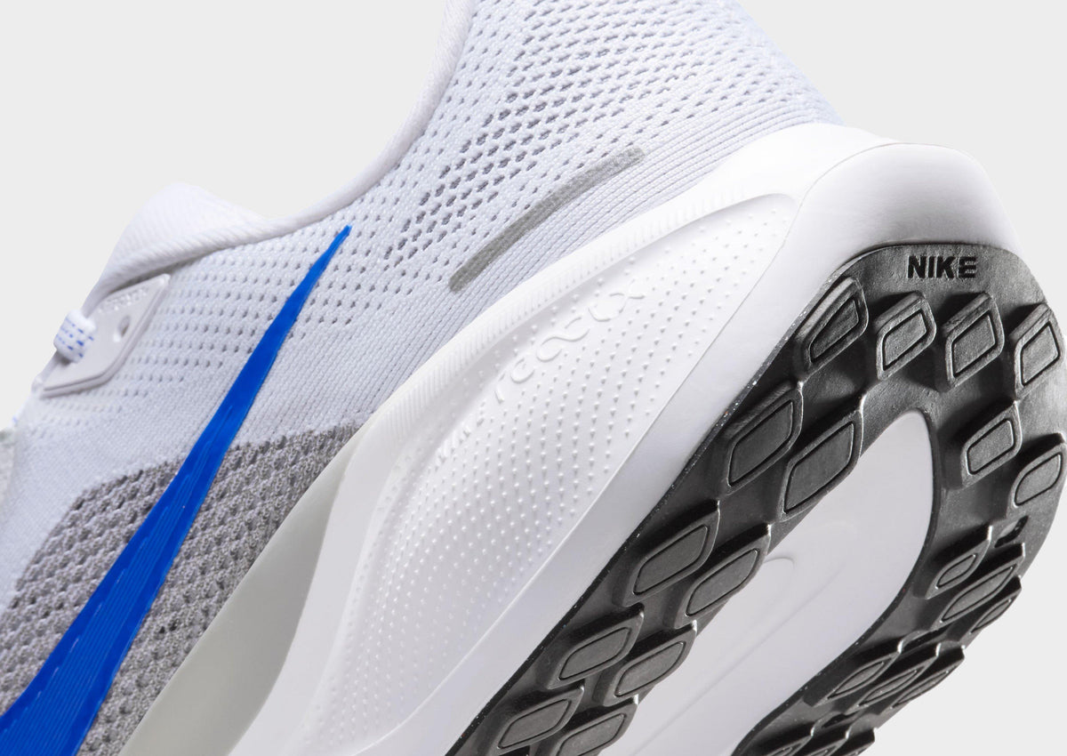 Pegasus 41