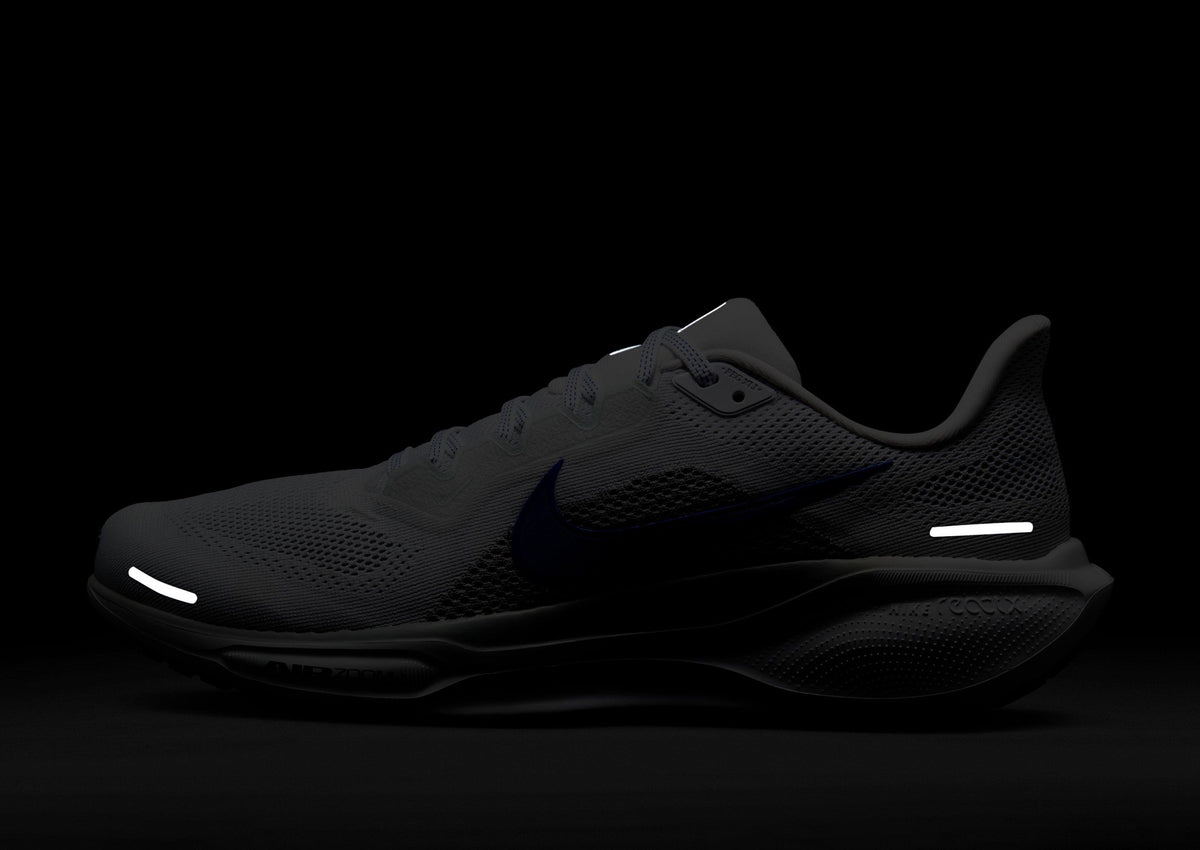 Pegasus 41