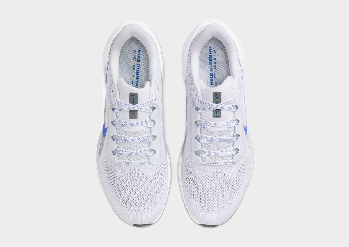 Pegasus 41