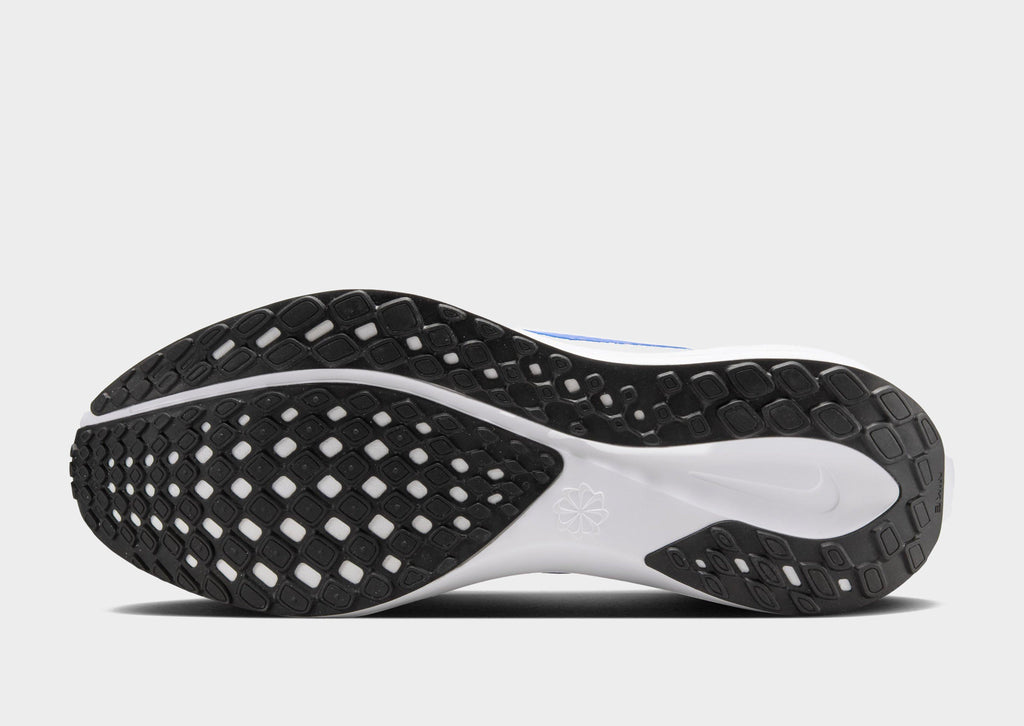 Pegasus 41