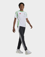 Algeria 2024 Home Shirt Junior