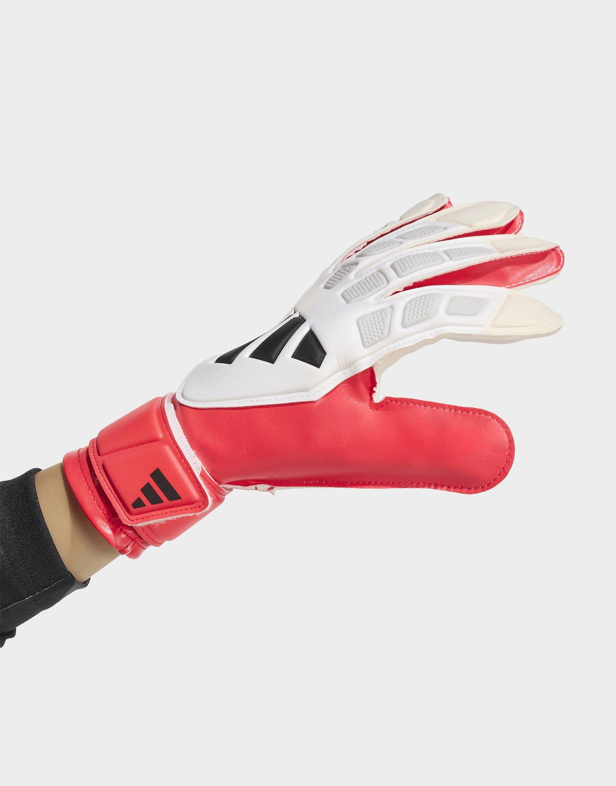 PREDATOR GOALKEEPER GLOVE TRAINING JUNIOR